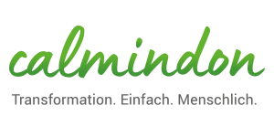 ruediger-duechting-combineit-paderborn-digitalisierung-calmindon